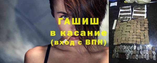 крисы Кулебаки