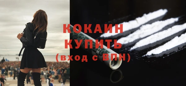 крисы Кулебаки