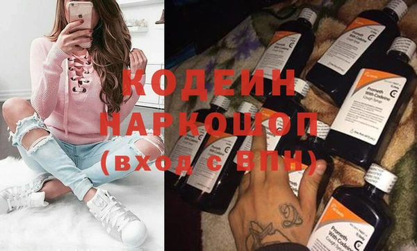 крисы Кулебаки