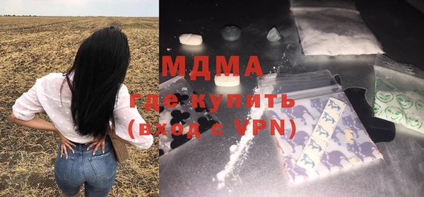 крисы Кулебаки