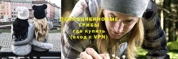 крисы Кулебаки