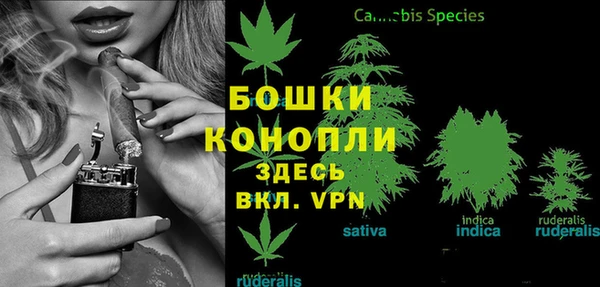 стафф Куйбышев