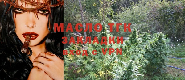 крисы Кулебаки