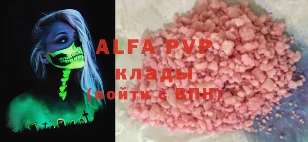 крисы Кулебаки
