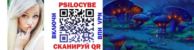 Псилоцибиновые грибы Psilocybe  купить  сайты  Липецк 