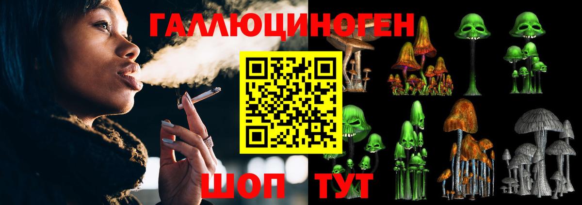 Галлюциногенные грибы GOLDEN TEACHER  Вход с VPN  Липецк 
